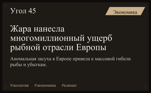 Климатический кризис в Европе: рыбная отрасль несет многомиллионные убытки