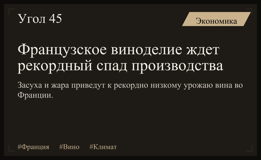 Климатический кризис во Франции приведет к рекордному падению производства вина