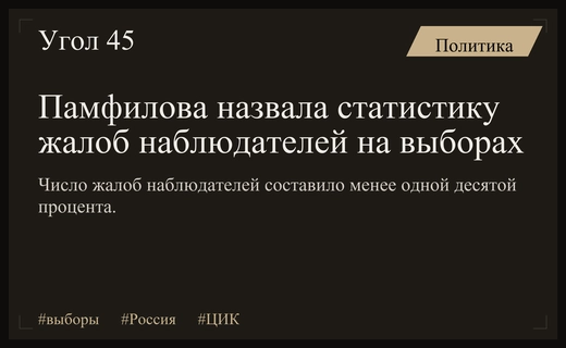 Элла Памфилова прокомментировала количество жалоб наблюдателей на прошедших выборах