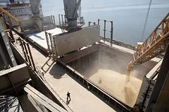 Глобальный кризис зернового рынка: экспорт пшеницы из Украины и России резко сократится