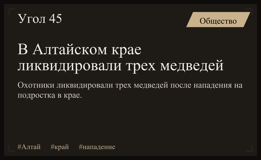 В Алтайском крае ликвидировали трех медведей после нападения на подростка