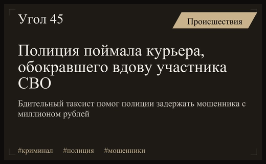 В Алтайском крае задержан соучастник мошенников, ограбивших вдову участника СВО
