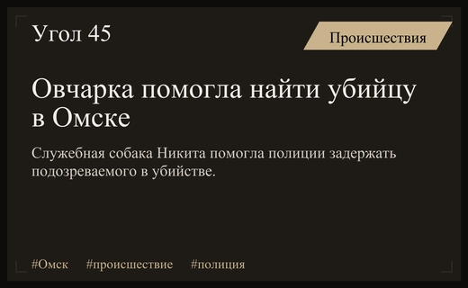 Служебная овчарка Никита помогла раскрыть жестокое убийство в Омске