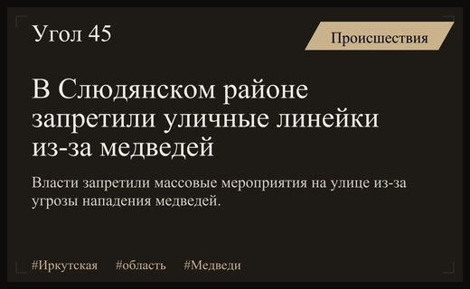 В Слюдянском районе Иркутской области запретили уличные линейки из-за медведей