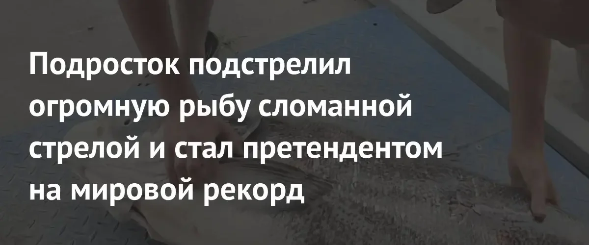 Американский подросток подстрелил гигантского толстолобика сломанной стрелой ради мирового рекорда