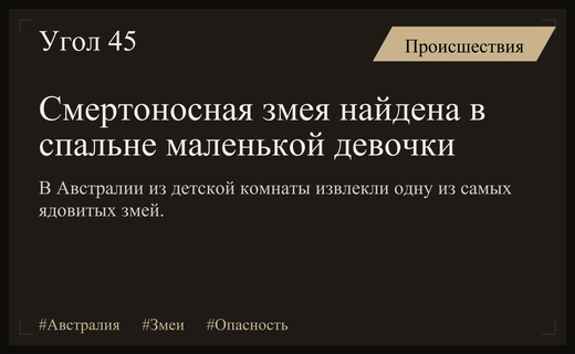 Смертельная опасность в детской: в Австралии поймали крайне ядовитую змею