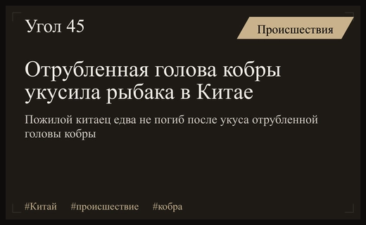 Смертельно опасная ошибка рыбака: отрубленная голова кобры едва не убила мужчину