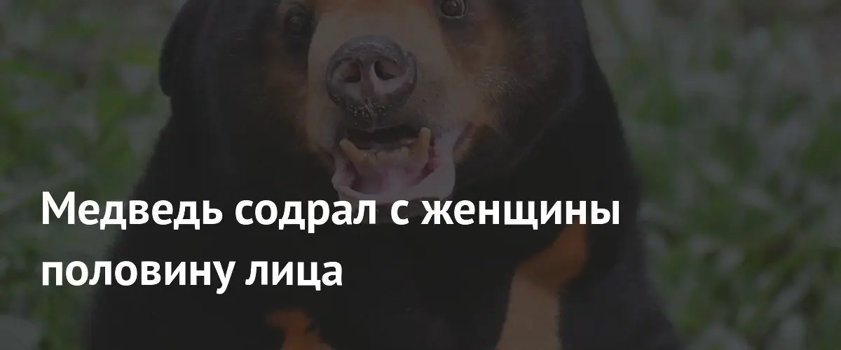 В Индонезии хирурги восстановили лицо женщины после нападения медведя