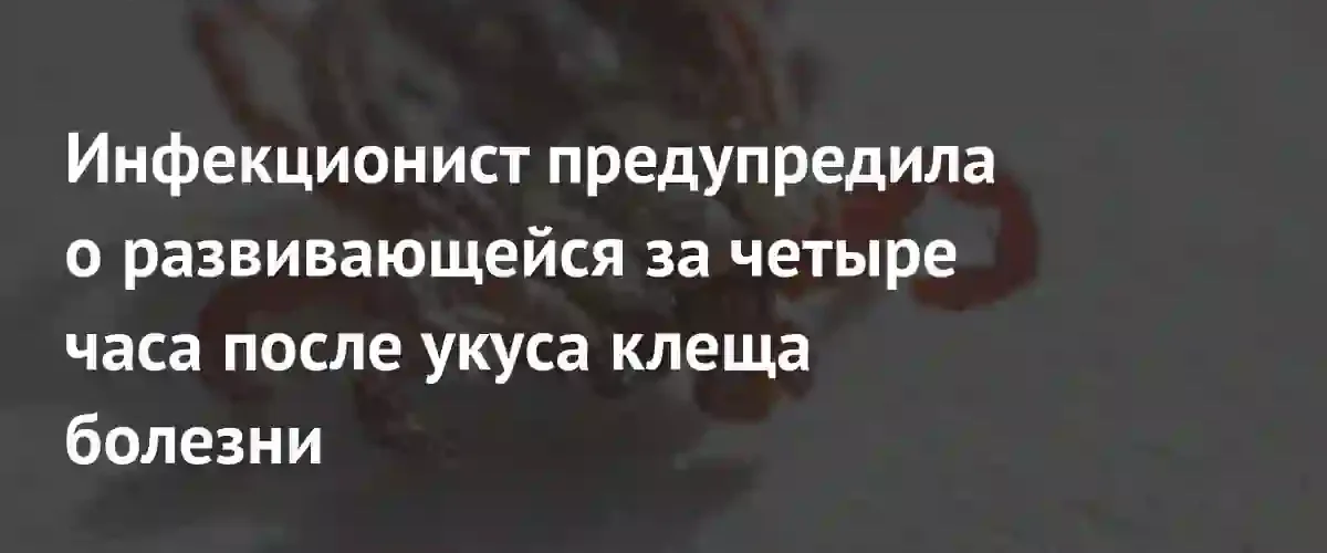 Инфекционист предупредила о риккетсиозе: болезнь развивается всего за четыре часа