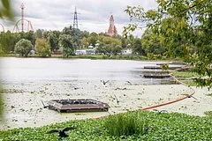 Инновационные плавучие модули помогут очистить водоемы Москвы от сине-зеленых водорослей