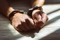 Многомиллионная махинация в лесничестве Красноярского края: бухгалтер и директор в центре скандала