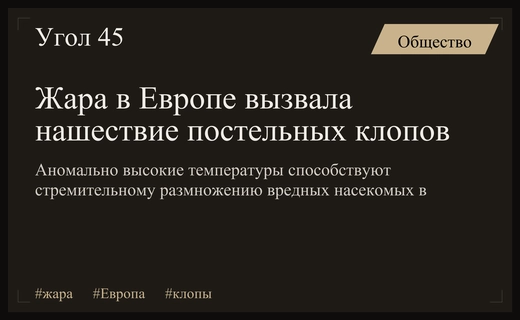 Аномальная жара в Европе провоцирует неконтролируемый рост популяции постельных клопов