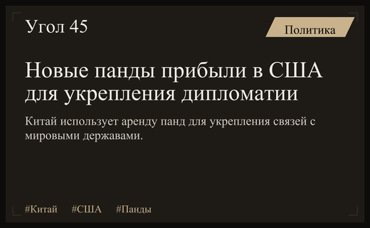 Инструмент мягкой силы: как панда-дипломатия Китая меняет мировые политические отношения