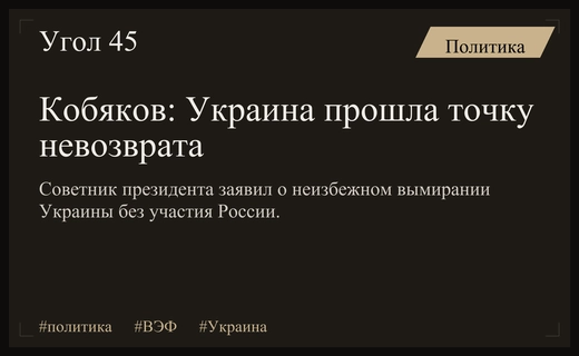 Антон Кобяков на ВЭФ заявил о неизбежном вымирании Украины