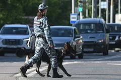 Побег из детского сада в Санкт-Петербурге: двое детей оказались в магазине
