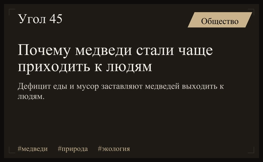 Почему медведи все чаще выходят к людям: мнение экспертов и ученых