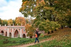 Почему осенью портится настроение: ученые назвали главные причины депрессии