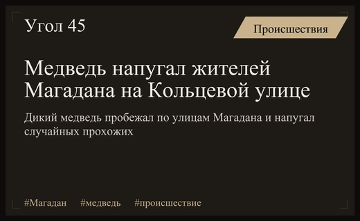 Ночной визит дикого медведя на улицы Магадана вызвал панику у горожан