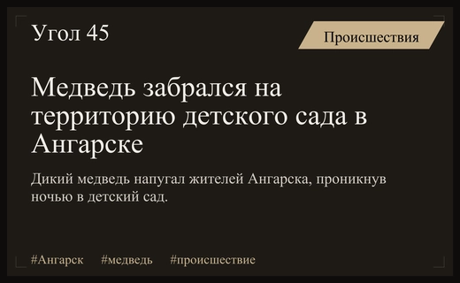 Ночной визит дикого медведя в детский сад города Ангарска вызвал тревогу