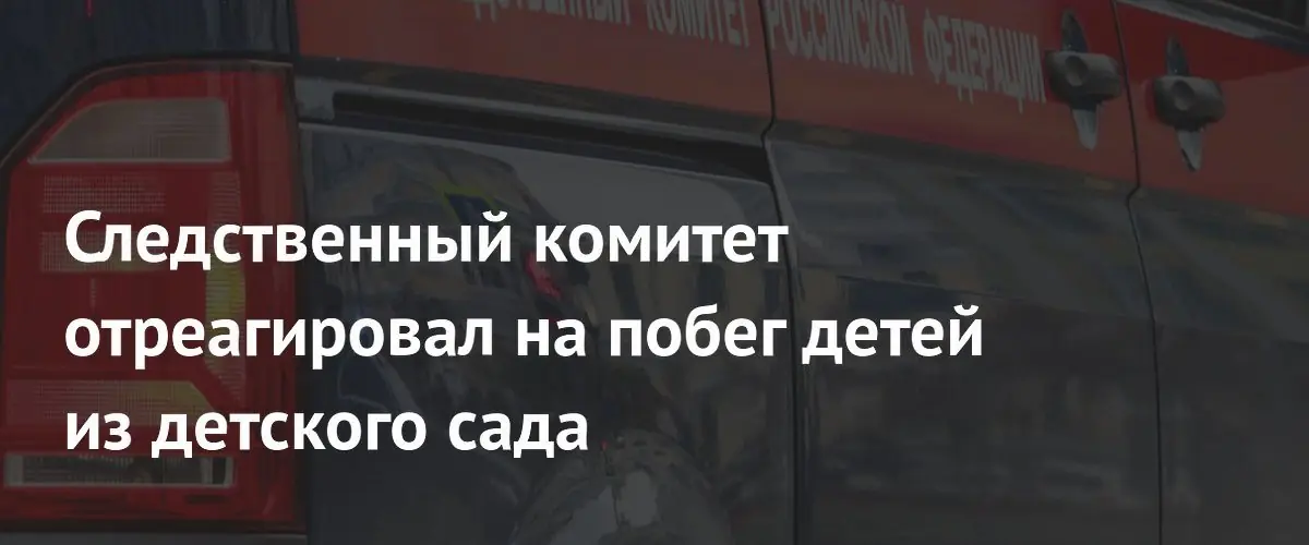 В Подмосковье возбудили уголовное дело после побега детей из детского сада
