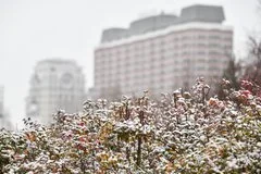 Когда ждать первый снег в Москве: прогнозы метеорологов и климатические особенности
