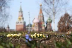 Погода в Москве радует теплом вопреки прогнозам о резком похолодании