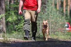 Поиски пропавшей жительницы Иркутска в горах Бурятии продолжаются после инцидента