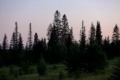 Поисковики назвали новую версию исчезновения семьи Усольцевых в тайге
