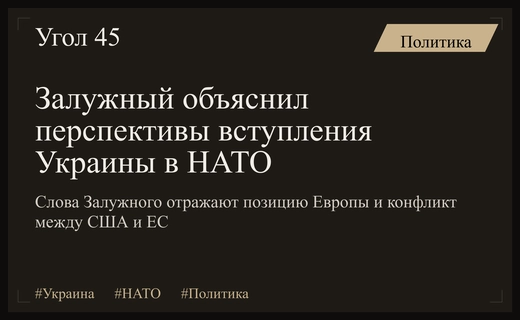 Политологи объяснили причины скептических прогнозов Залужного относительно вступления Украины в НАТО