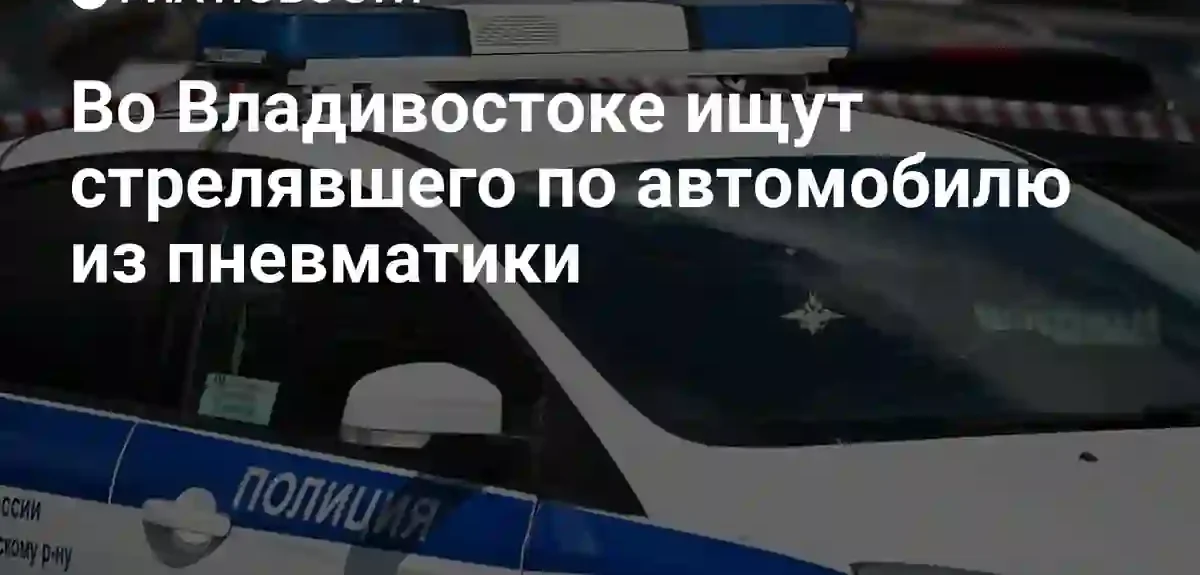 Полиция Владивостока устанавливает личность неизвестного стрелявшего из пневматики по автомобилю