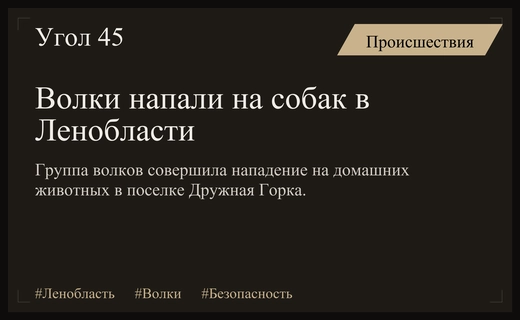 Волки вышли к людям: в Ленинградской области зафиксированы нападения на собак