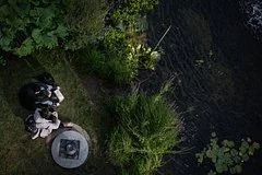 Золотая осень в Москве: синоптики прогнозируют аномальное тепло на этой неделе