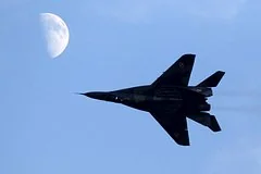 Польская авиация завершила операцию после ложной тревоги из-за стаи птиц