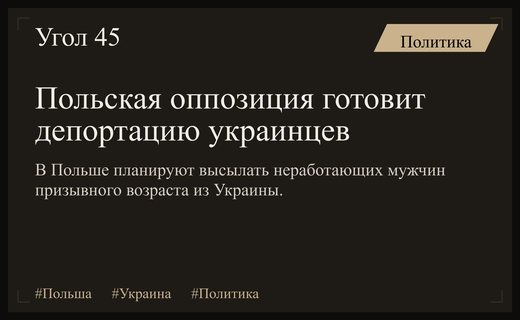Польская оппозиция планирует массовую депортацию неработающих украинских мужчин призывного возраста