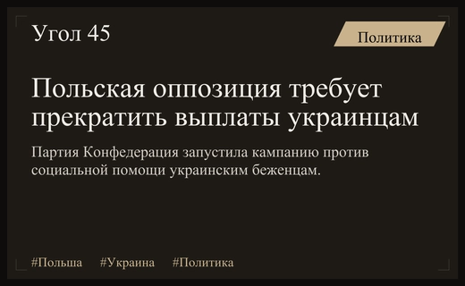 Польская оппозиция развернула масштабную кампанию против социальной поддержки украинских беженцев