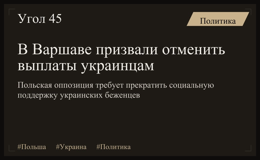 Польская оппозиция выступила с требованием полной отмены социальных выплат украинцам