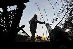 Колумбийская журналистка указала на искажение восприятия конфликта в Донбассе