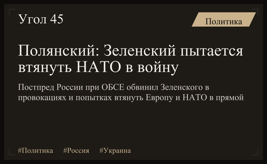 Полянский обвинил Зеленского в попытках втянуть НАТО в прямой конфликт с Россией