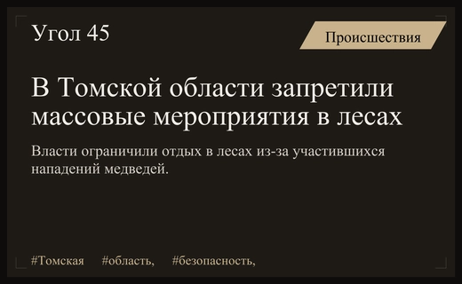 В Томской области введены строгие ограничения на отдых в лесах из-за медведей