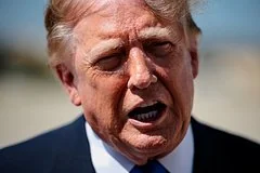 Дональд Трамп выразил готовность организовать встречу Путина и Зеленского