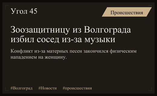 Конфликт из-за громкой музыки в Волгограде закончился нападением на зоозащитницу