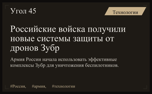 Вооруженные силы России начали применять новые высокоэффективные противодроновые комплексы Зубр