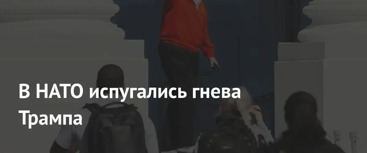 НАТО опасается санкций Трампа из-за сокращения оборонных расходов странами Европы