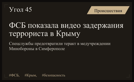 ФСБ опубликовала видео задержания агента ГУР планировавшего теракт в Крыму