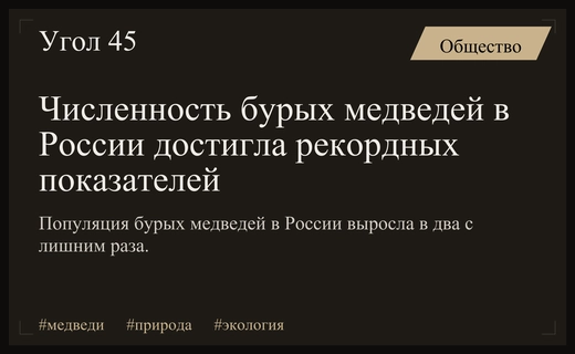 Популяция бурых медведей в России выросла более чем в два раза