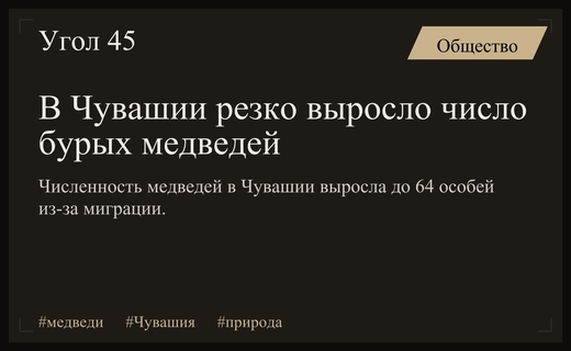 Популяция бурых медведей в Чувашии демонстрирует уверенный рост численности