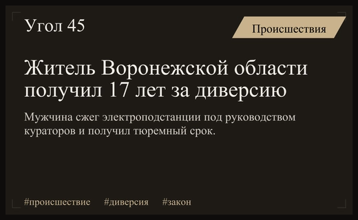 В Воронежской области осужден диверсант за поджоги электроподстанций по указанию кураторов