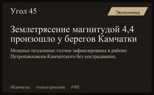 Мощное землетрясение магнитудой 4,4 потрясло восточное побережье Камчатки