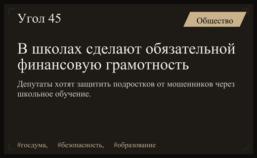 Госдума предложила внедрить обязательную финансовую грамотность для защиты подростков от мошенников