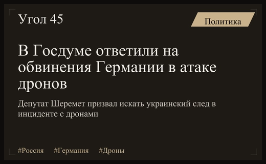 В Госдуме призвали Германию искать украинский след в инциденте с дронами